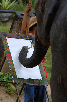 Elefanti painter